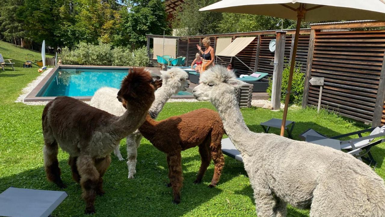 Dolomit Boutique Hotel لا فيلا المظهر الخارجي الصورة